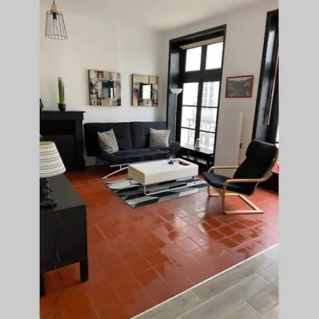 Apartment New :) Beau T2 Pres Du Chateau,Quartier Historique